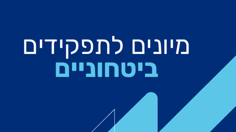 תהליך מיונים לתקני ביטחון