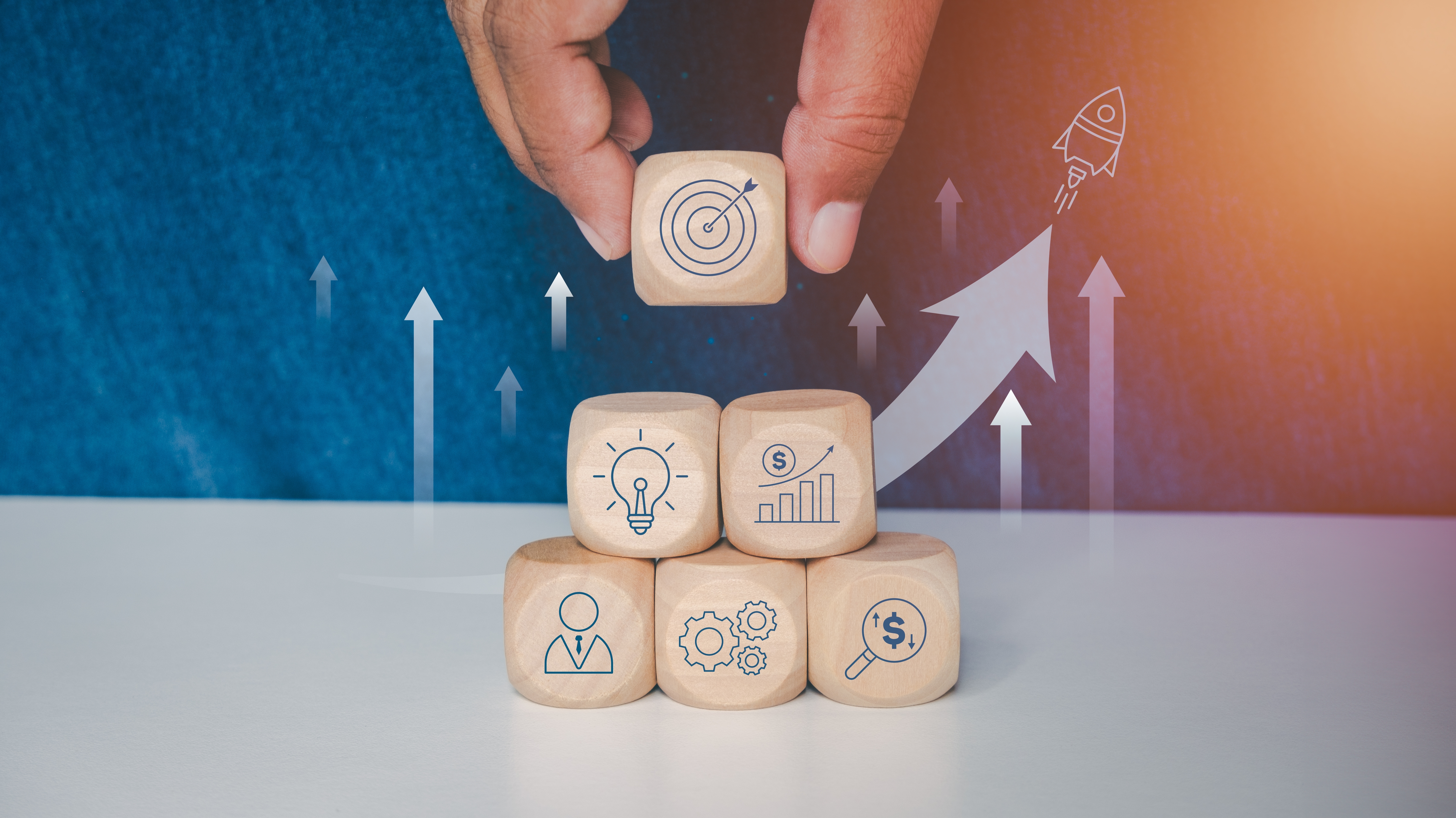 תוכניות מיוחדות